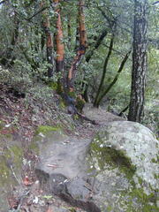 Image file: photo85.jpg