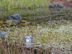 Image file: photo03.jpg