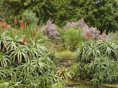 Image file: photo06.jpg