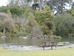 Image file: photo07.jpg