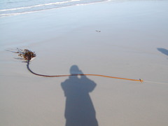 Image file: photo03.jpg