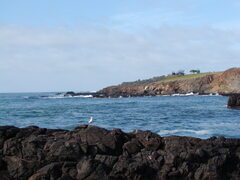 Image file: photo06.jpg