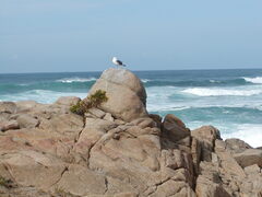 Image file: photo09.jpg