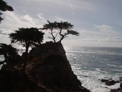 Image file: photo13.jpg