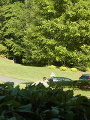 Image file: photo01.jpg