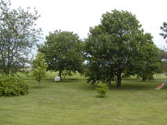 Image file: photo04.jpg