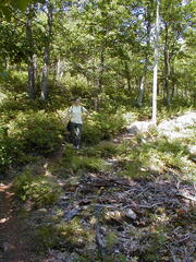 Image file: photo02.jpg