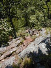 Image file: photo10.jpg