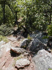 Image file: photo12.jpg