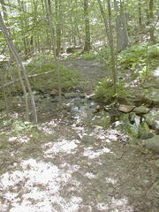 Image file: photo18.jpg