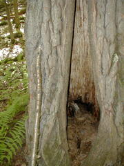 Image file: photo19.jpg