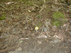 Image file: photo20.jpg