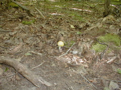 Image file: photo21.jpg