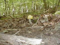 Image file: photo22.jpg