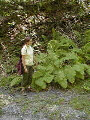 Image file: photo23.jpg