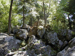 Image file: photo29.jpg