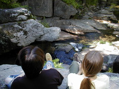 Image file: photo30.jpg