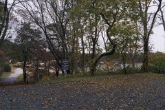 Image file: photo06.jpg