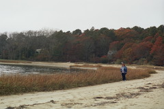 Image file: photo20.jpg