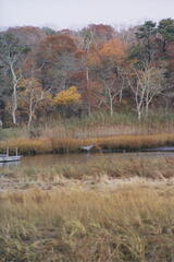 Image file: photo23.jpg