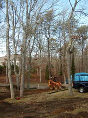 Image file: photo01.jpg