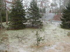 Image file: photo01.jpg