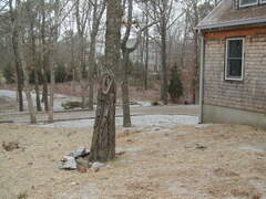 Image file: photo02.jpg