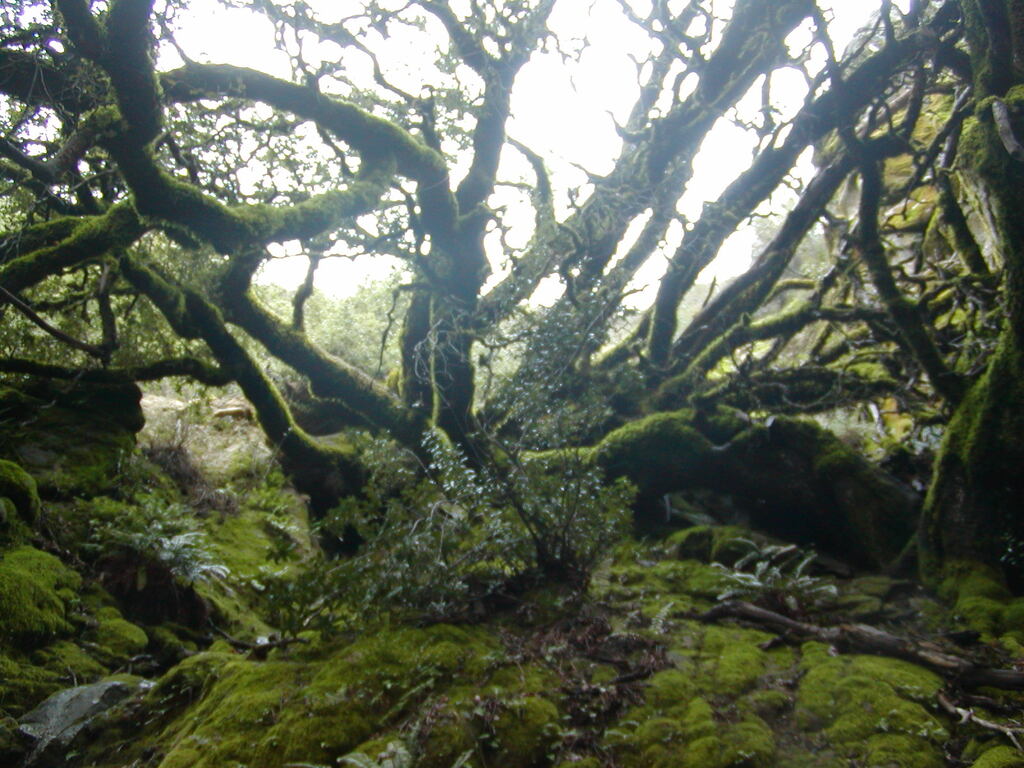 No description provided for: /2008/01-03/0126-castlerock/_1/photo01.html