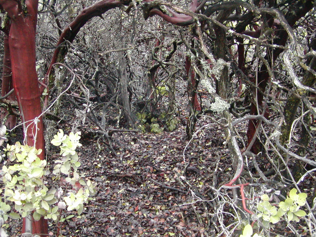 No description provided for: /2008/01-03/0126-castlerock/_1/photo10.html