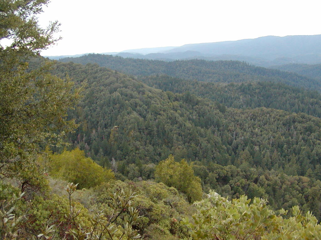 No description provided for: /2008/01-03/0126-castlerock/_1/photo13.html