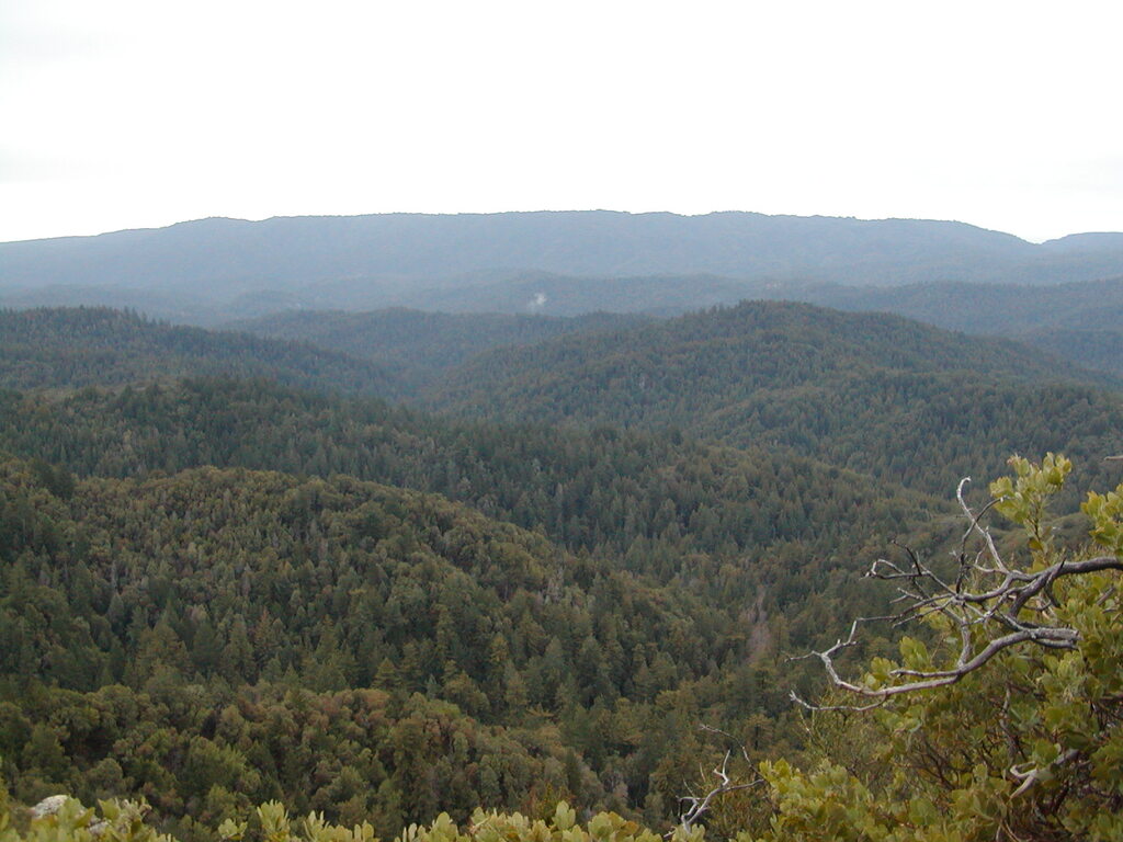 No description provided for: /2008/01-03/0126-castlerock/_1/photo14.html