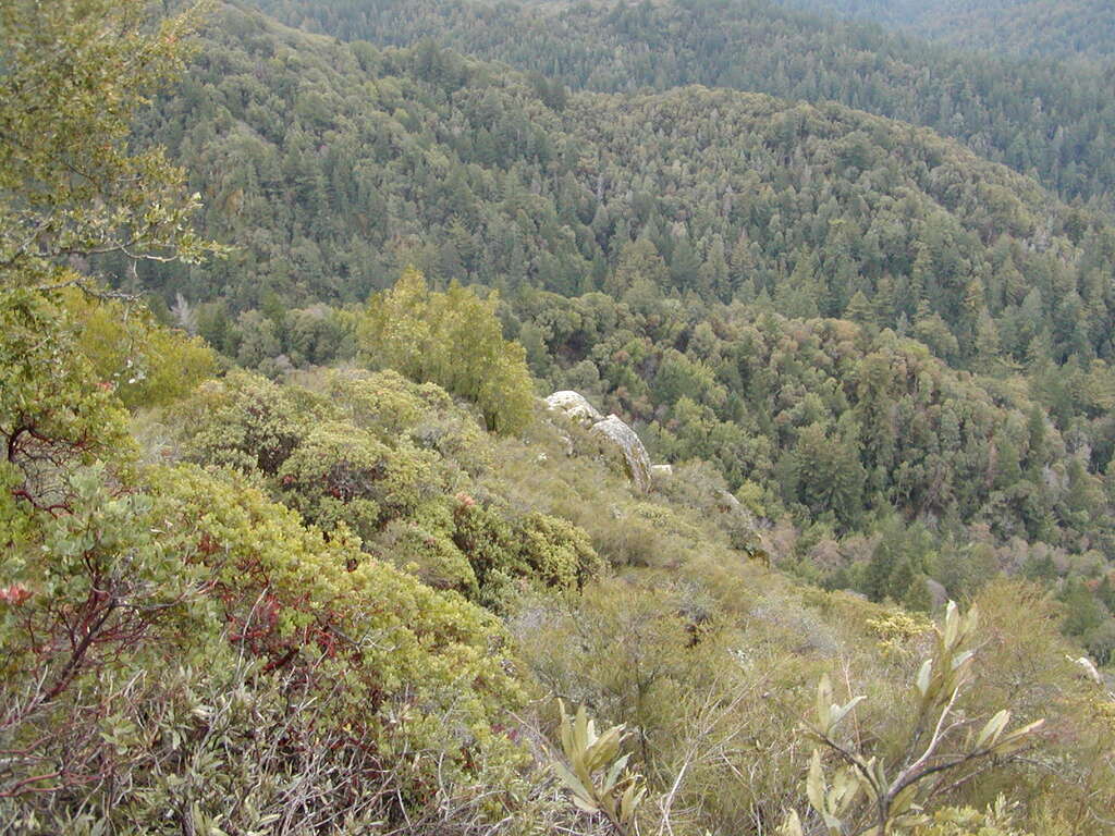 No description provided for: /2008/01-03/0126-castlerock/_1/photo15.html