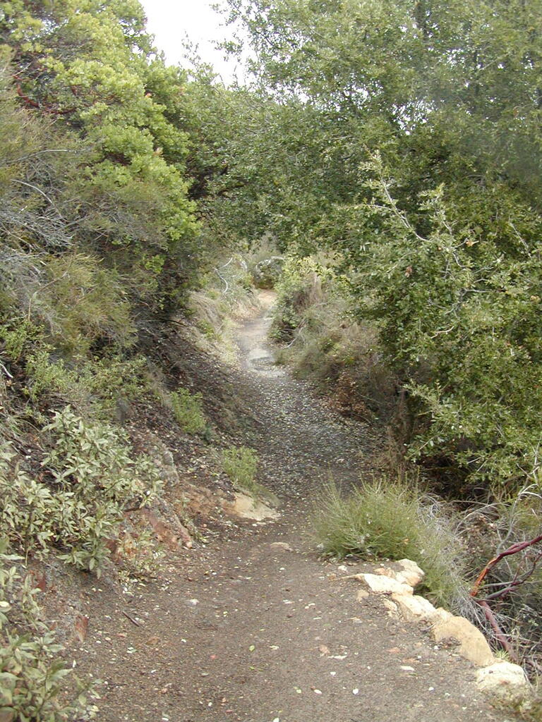 No description provided for: /2008/01-03/0126-castlerock/_1/photo18.html