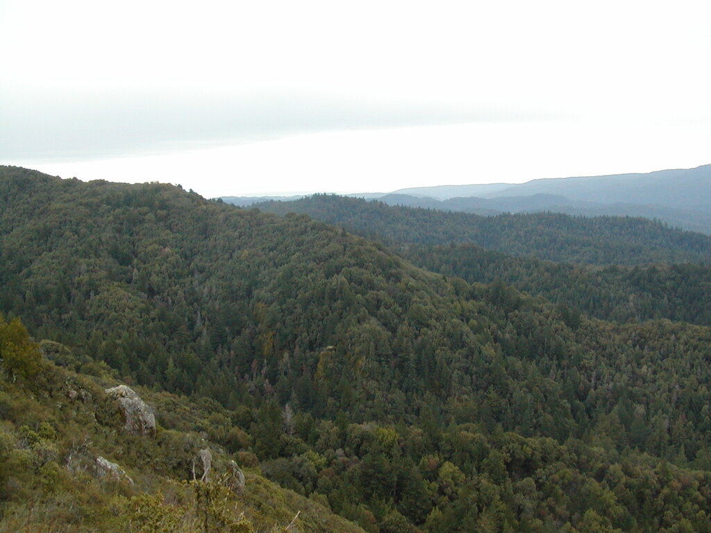 No description provided for: /2008/01-03/0126-castlerock/_1/photo22.html