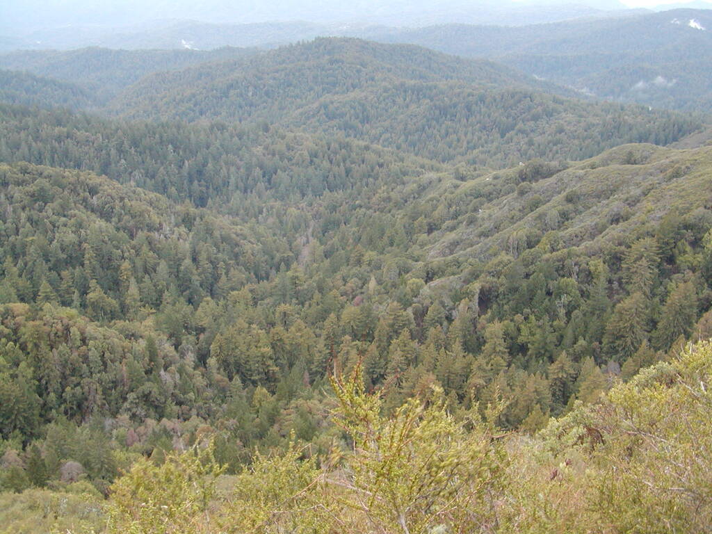 No description provided for: /2008/01-03/0126-castlerock/_2/photo23.html