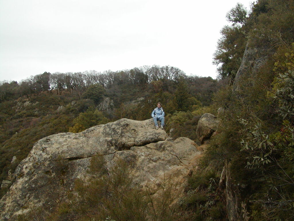 No description provided for: /2008/01-03/0126-castlerock/_2/photo29.html