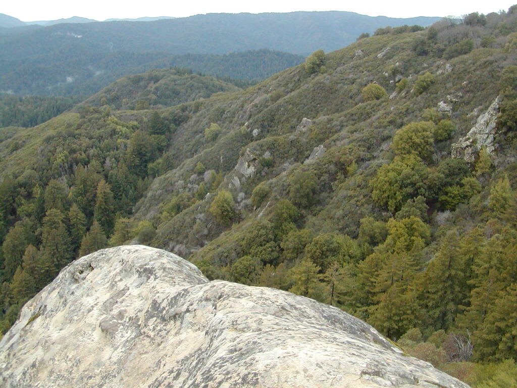 No description provided for: /2008/01-03/0126-castlerock/_2/photo31.html