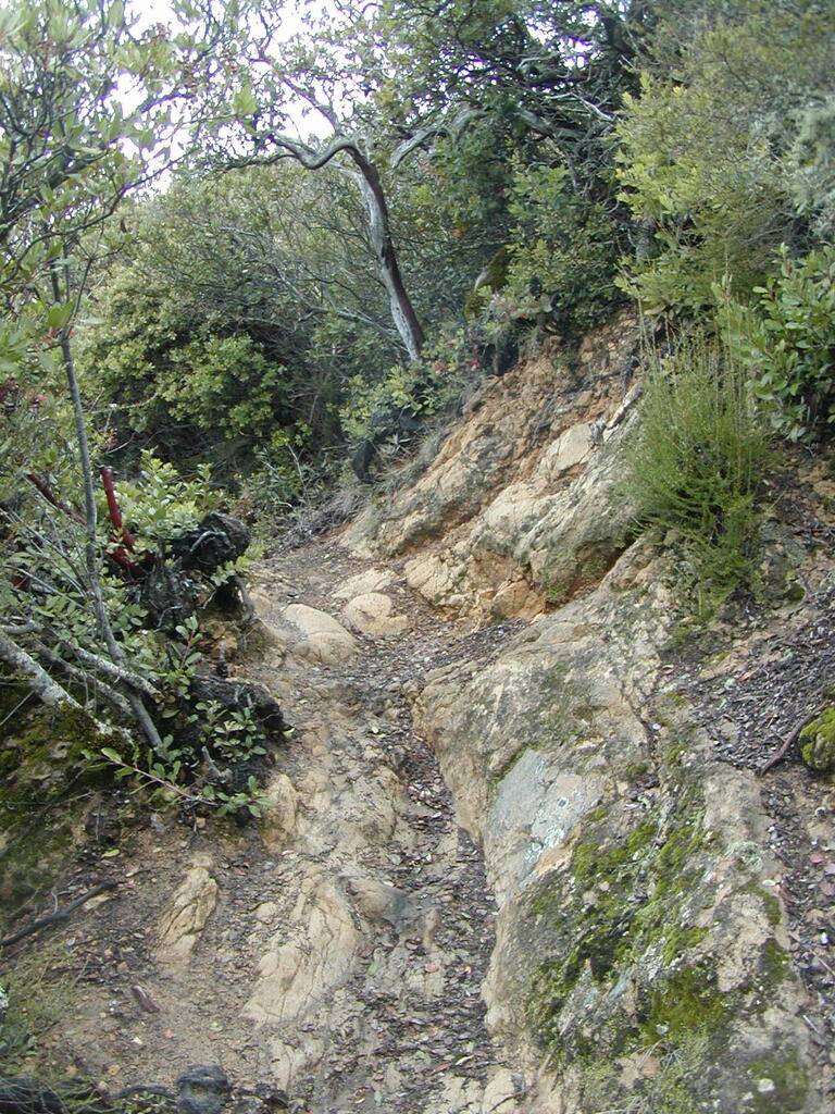 No description provided for: /2008/01-03/0126-castlerock/_2/photo40.html