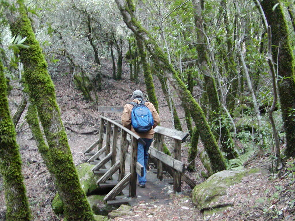 No description provided for: /2008/01-03/0126-castlerock/_2/photo41.html