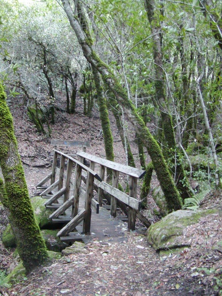 No description provided for: /2008/01-03/0126-castlerock/_2/photo42.html