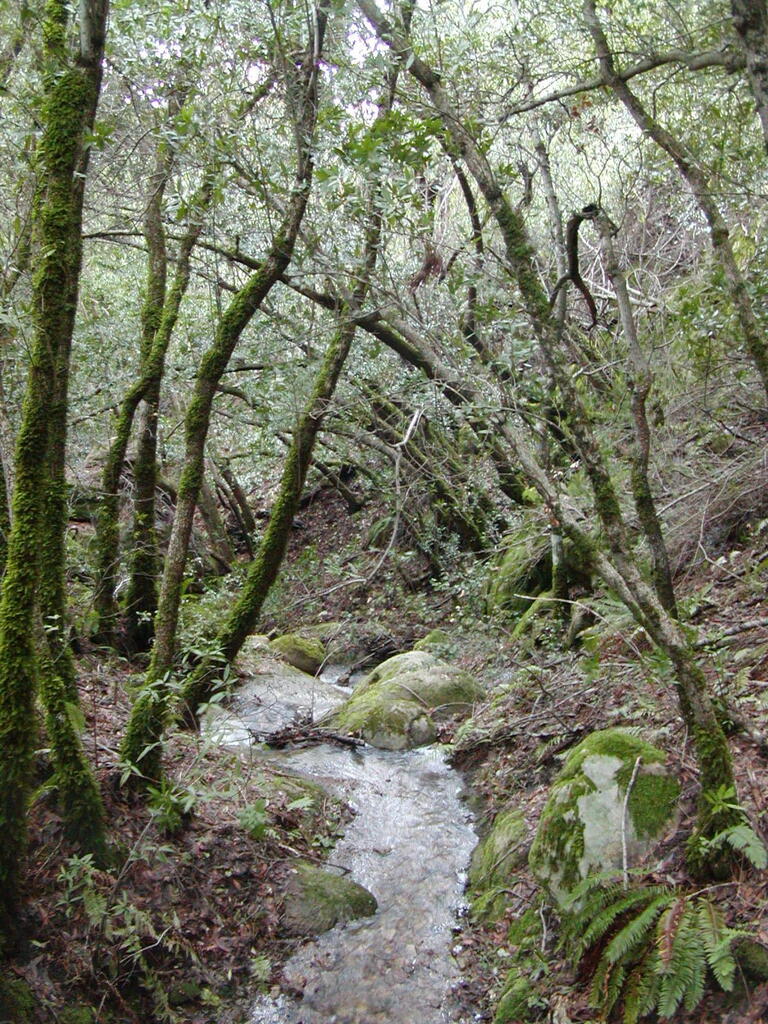 No description provided for: /2008/01-03/0126-castlerock/_2/photo43.html