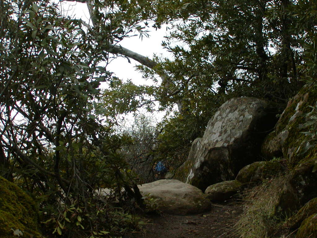 No description provided for: /2008/01-03/0126-castlerock/_3/photo45.html