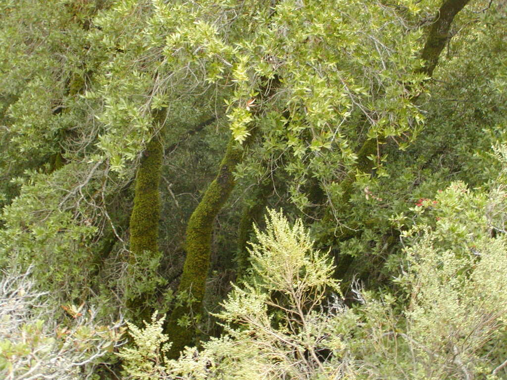 No description provided for: /2008/01-03/0126-castlerock/_3/photo46.html