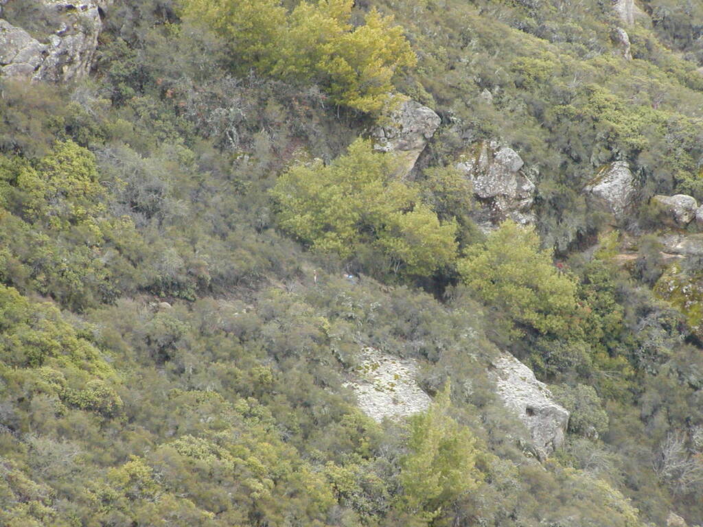 No description provided for: /2008/01-03/0126-castlerock/_3/photo49.html