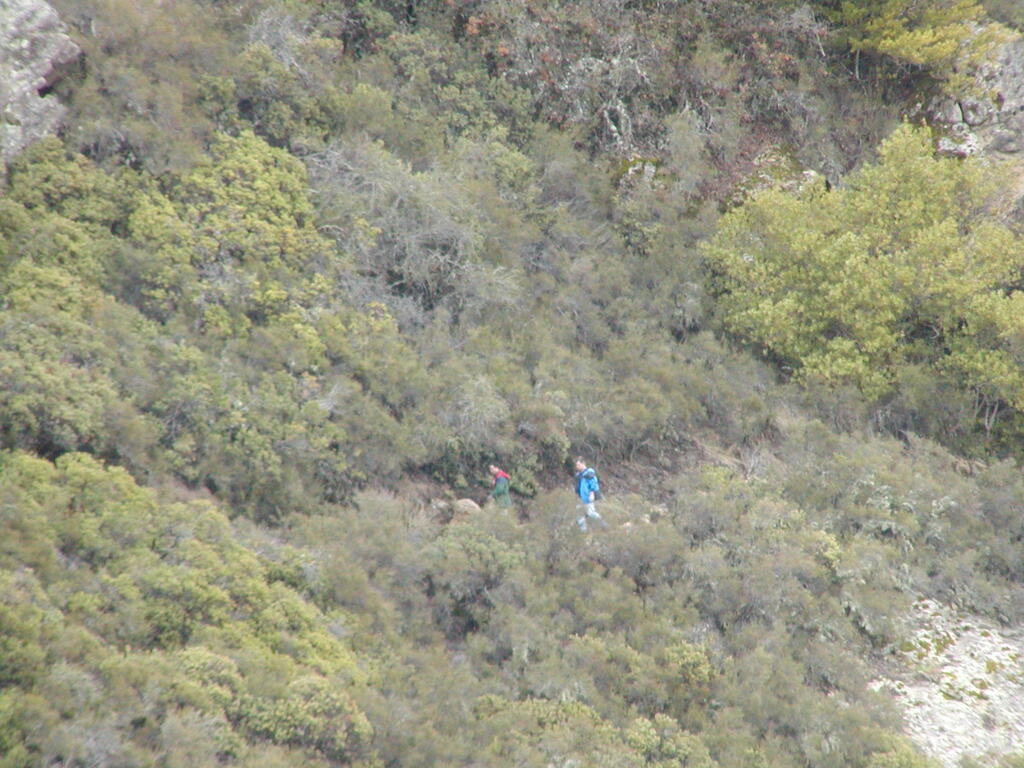 No description provided for: /2008/01-03/0126-castlerock/_3/photo50.html