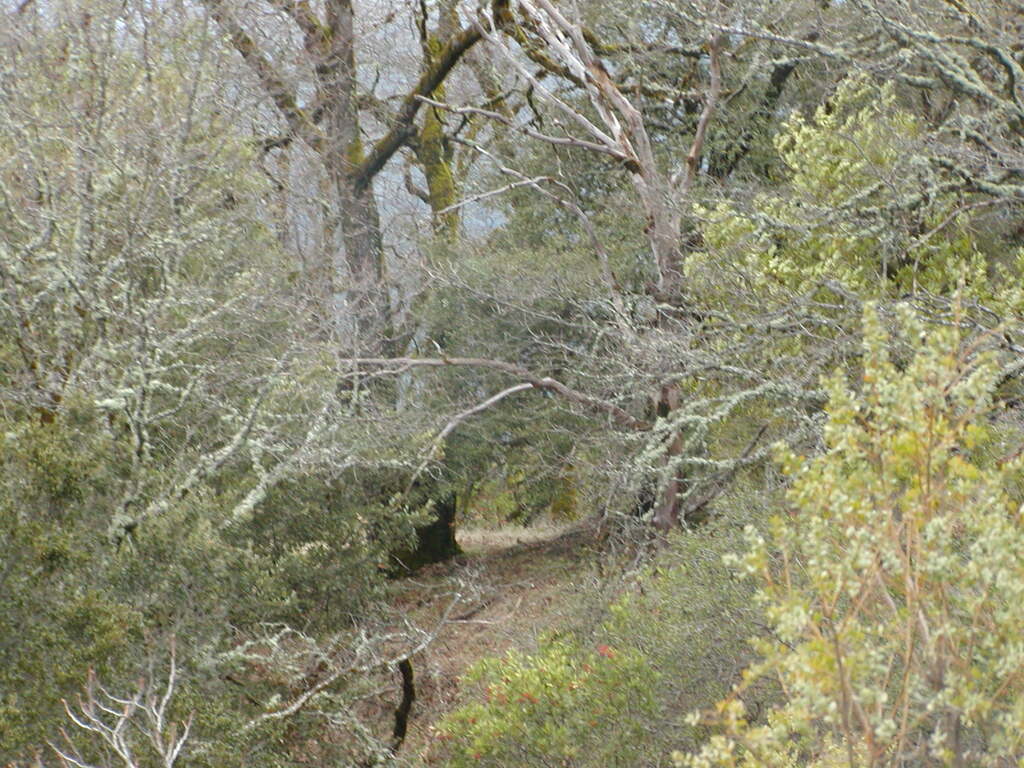 No description provided for: /2008/01-03/0126-castlerock/_3/photo51.html