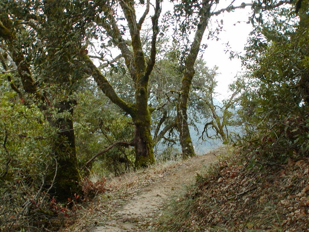 No description provided for: /2008/01-03/0126-castlerock/_3/photo52.html