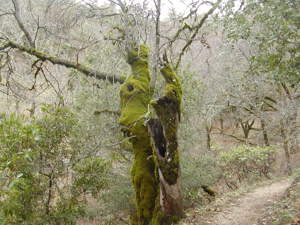 No description provided for: /2008/01-03/0126-castlerock/_3/photo54.html