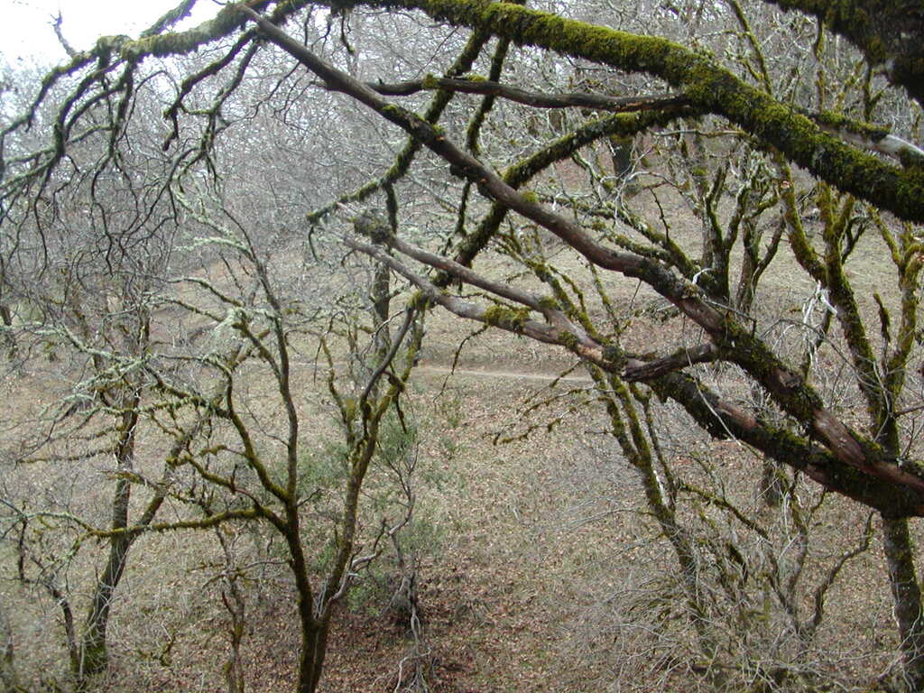 No description provided for: /2008/01-03/0126-castlerock/_3/photo55.html