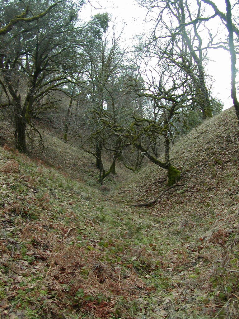 No description provided for: /2008/01-03/0126-castlerock/_3/photo57.html